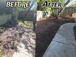 Yard before and afters