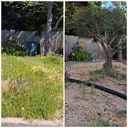 Before & Afters